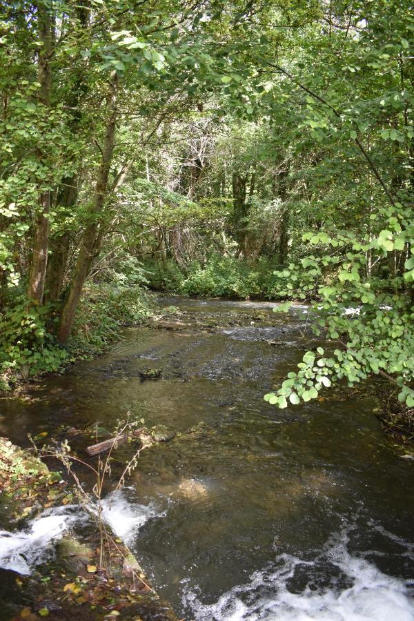Le Moulin,19 Bis Rue De Beaudon, 45330 Augerville La Riviere Trezan 외부 사진